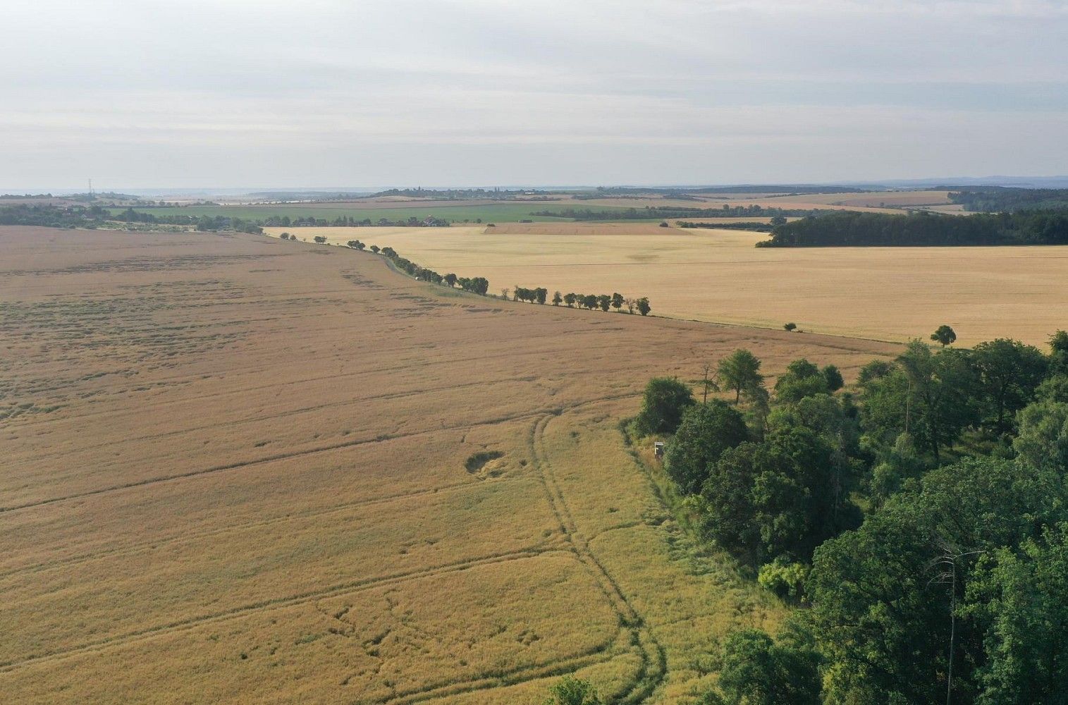 Zemědělský pozemek · Horní Slivno, okres Mladá Boleslav, Středočeský kraj - 4