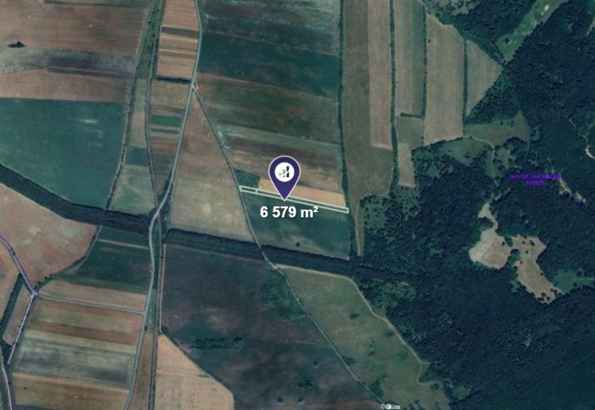 Prodej zemědělský pozemek - Javorník, 6 579 m²
