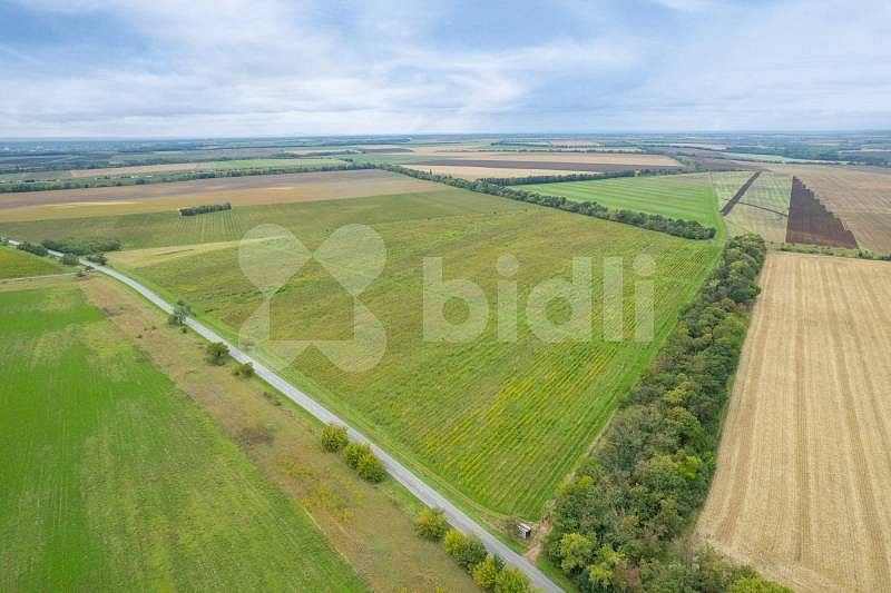 Zemědělské pozemky, Pohořelice - Nová Ves, okres Brno-venkov, Jihomoravský kraj - 1