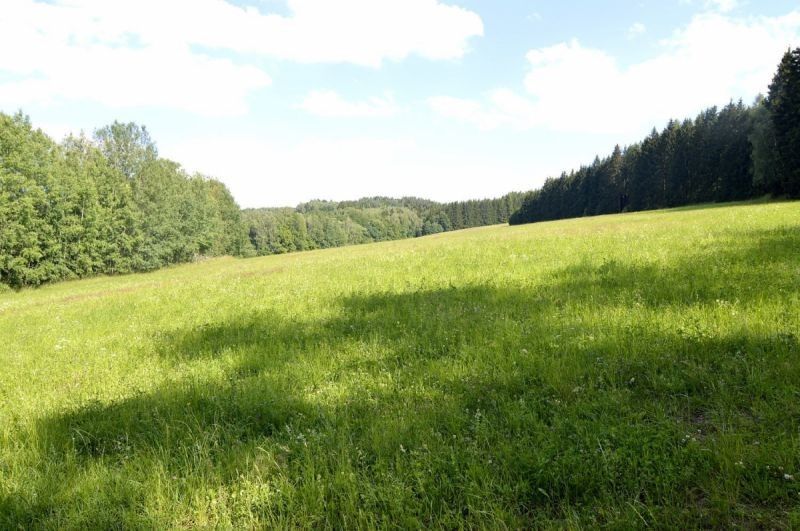 Prodej zemědělský pozemek - Stará Paka - 5