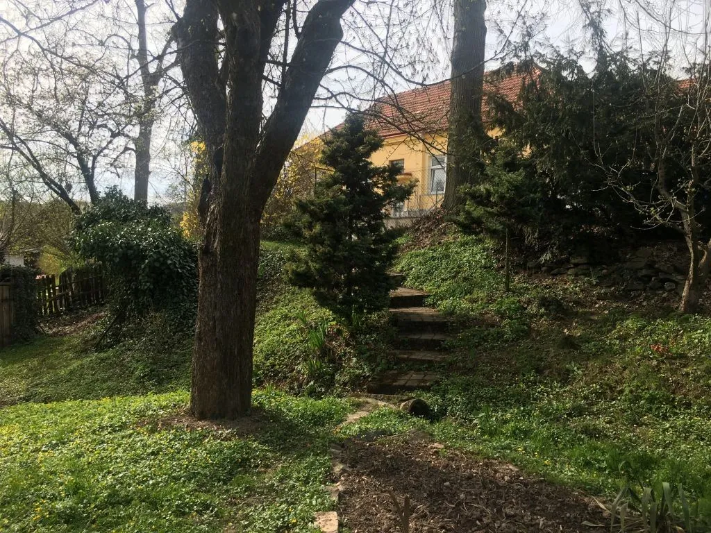 Ostatní