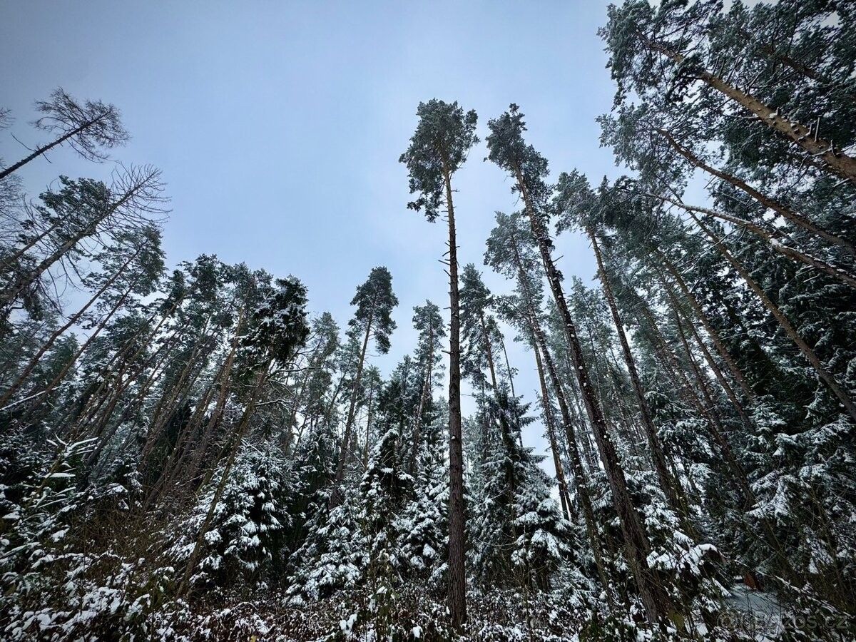 Prodej pozemek pro bydlení - Koloveč, 345 43