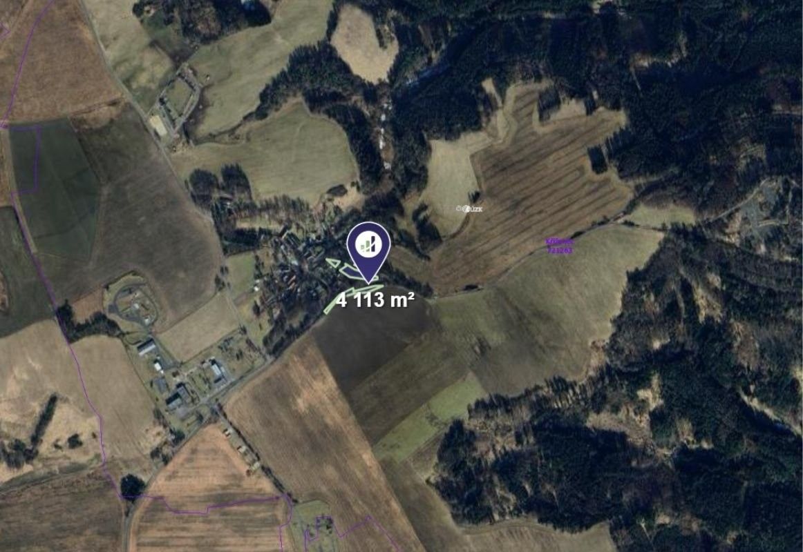 Prodej pozemek pro bydlení - Planá, 4 113 m²