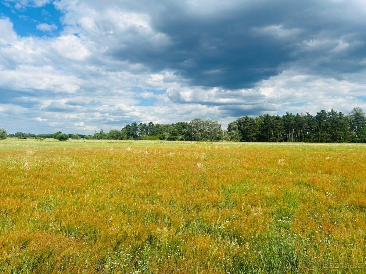 Pozemky pro bydlení, Břeclav, 690 02 - 2