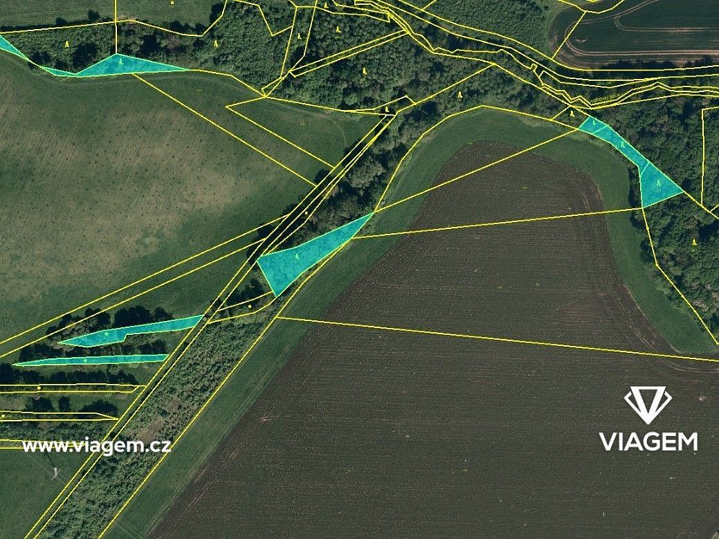 Les · Suchdol nad Odrou, okres Nový Jičín, Moravskoslezský kraj - 3