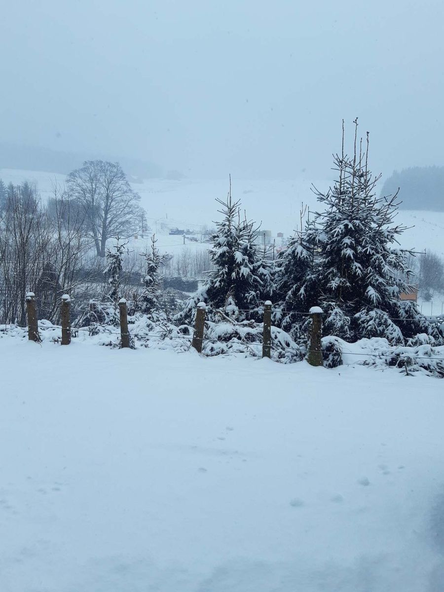 Chaty, Čenkovice, Pardubický kraj - 2