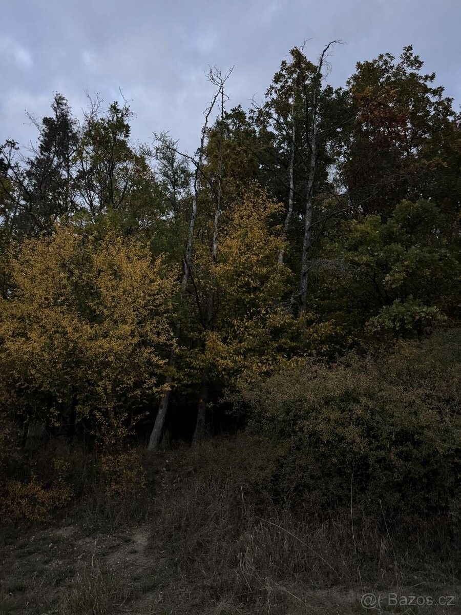 Prodej pozemek pro bydlení - Přeštice, 334 01