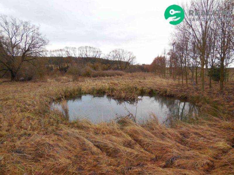 Pozemky pro bydlení, Konstantinovy Lázně, 349 52