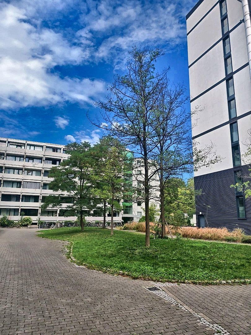 Byt 2+1 · 55 m² · München Giesing Bayern 81541 - 3