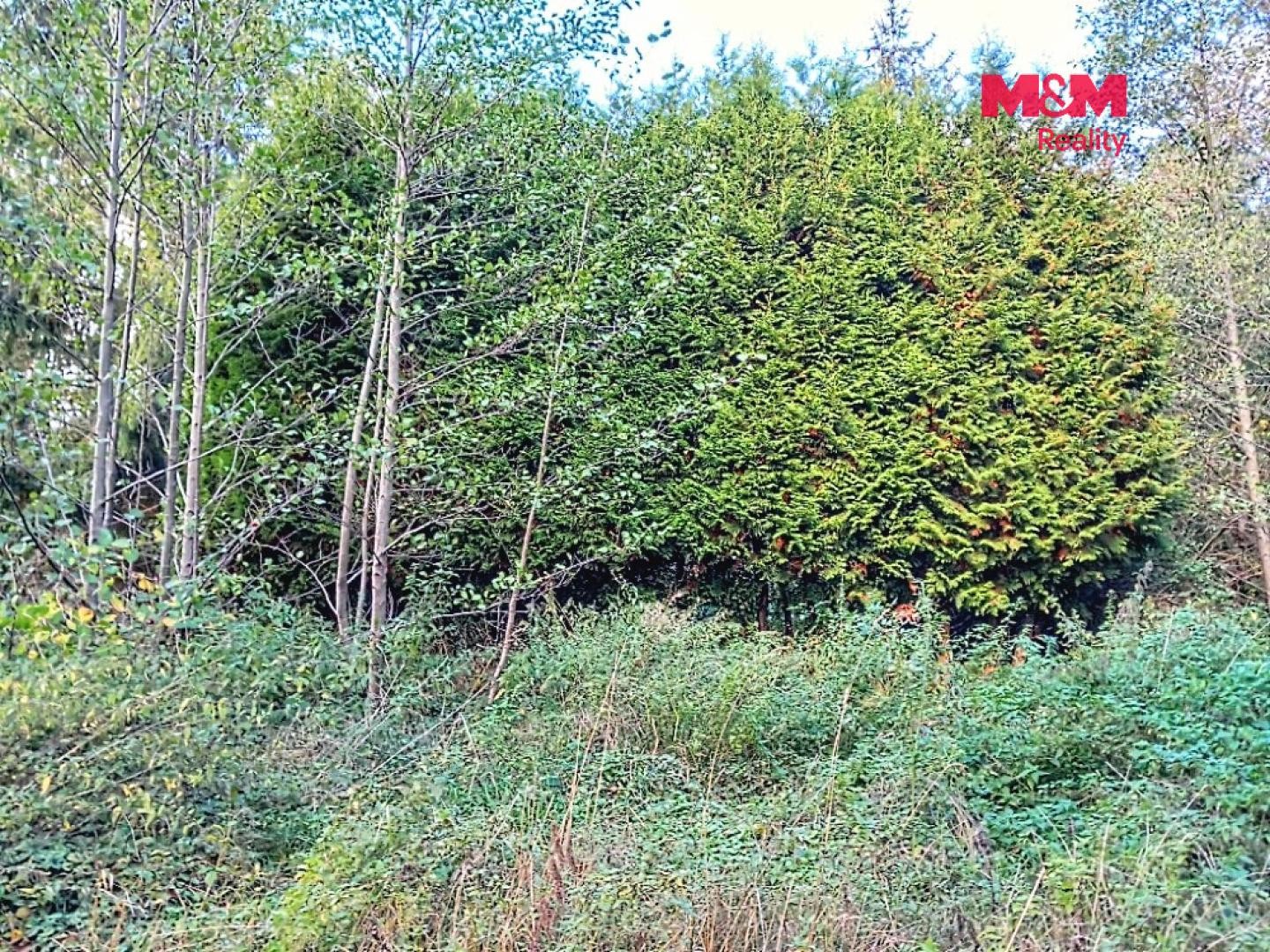 Prodej pozemek pro bydlení - Aš - 5