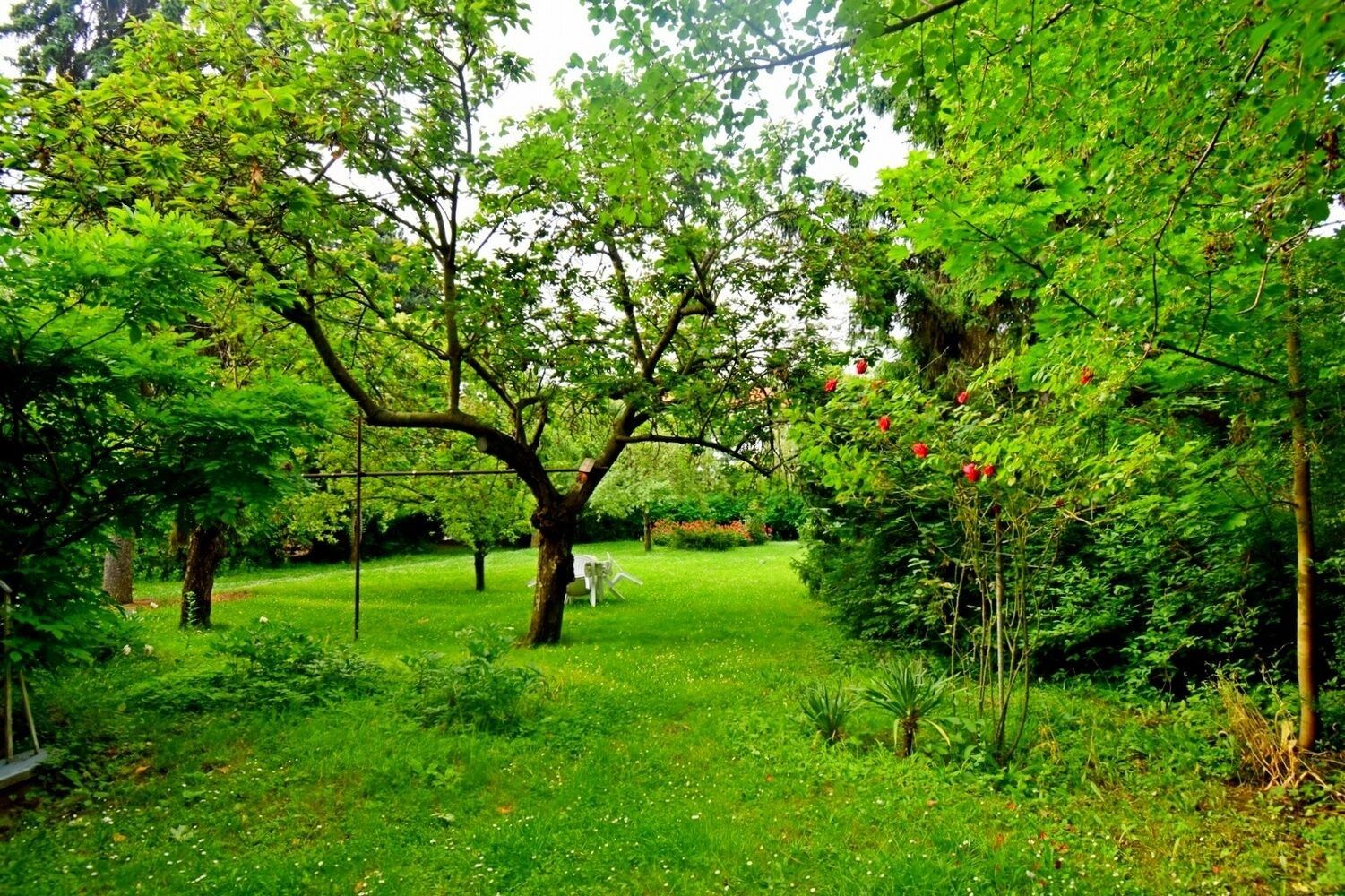 Pronájem kancelář - Benešovská, Praha, 60 m² - 5