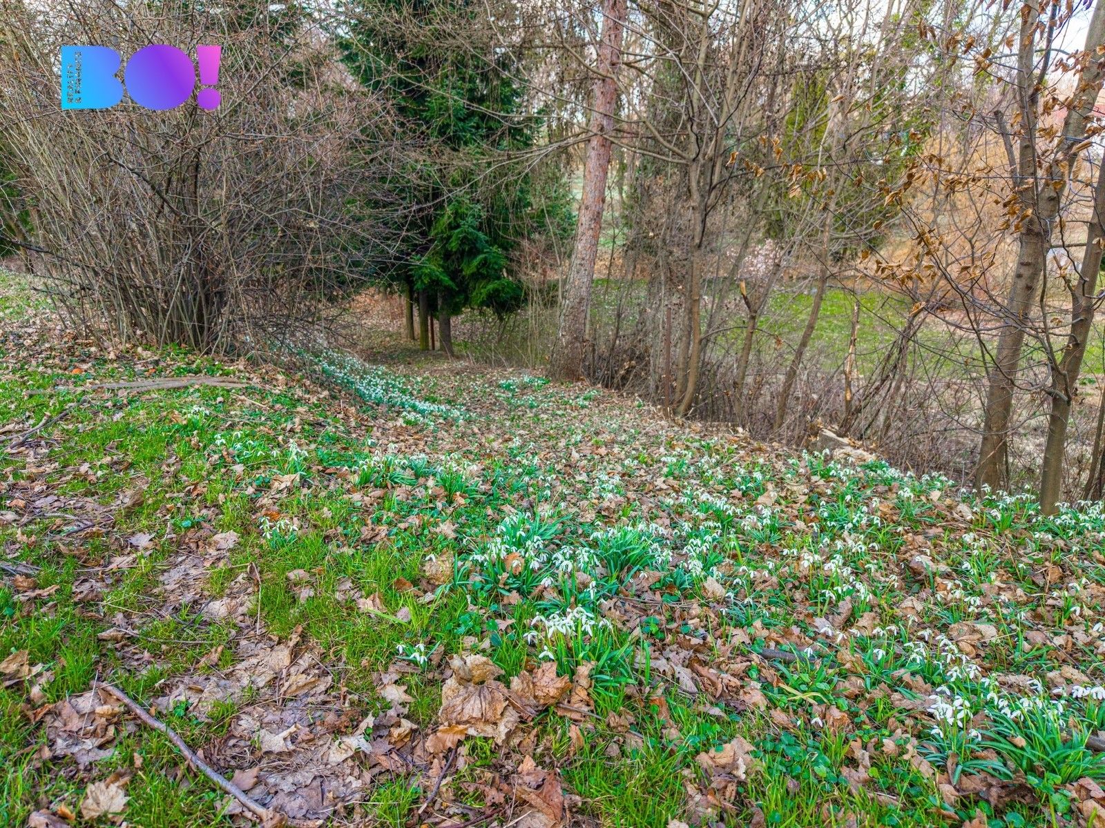 Pozemek pro bydlení · 970 m² · Sedlnice - 4