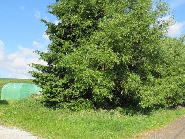 Zahrady, Otročín, okres Karlovy Vary, Karlovarský kraj - 2