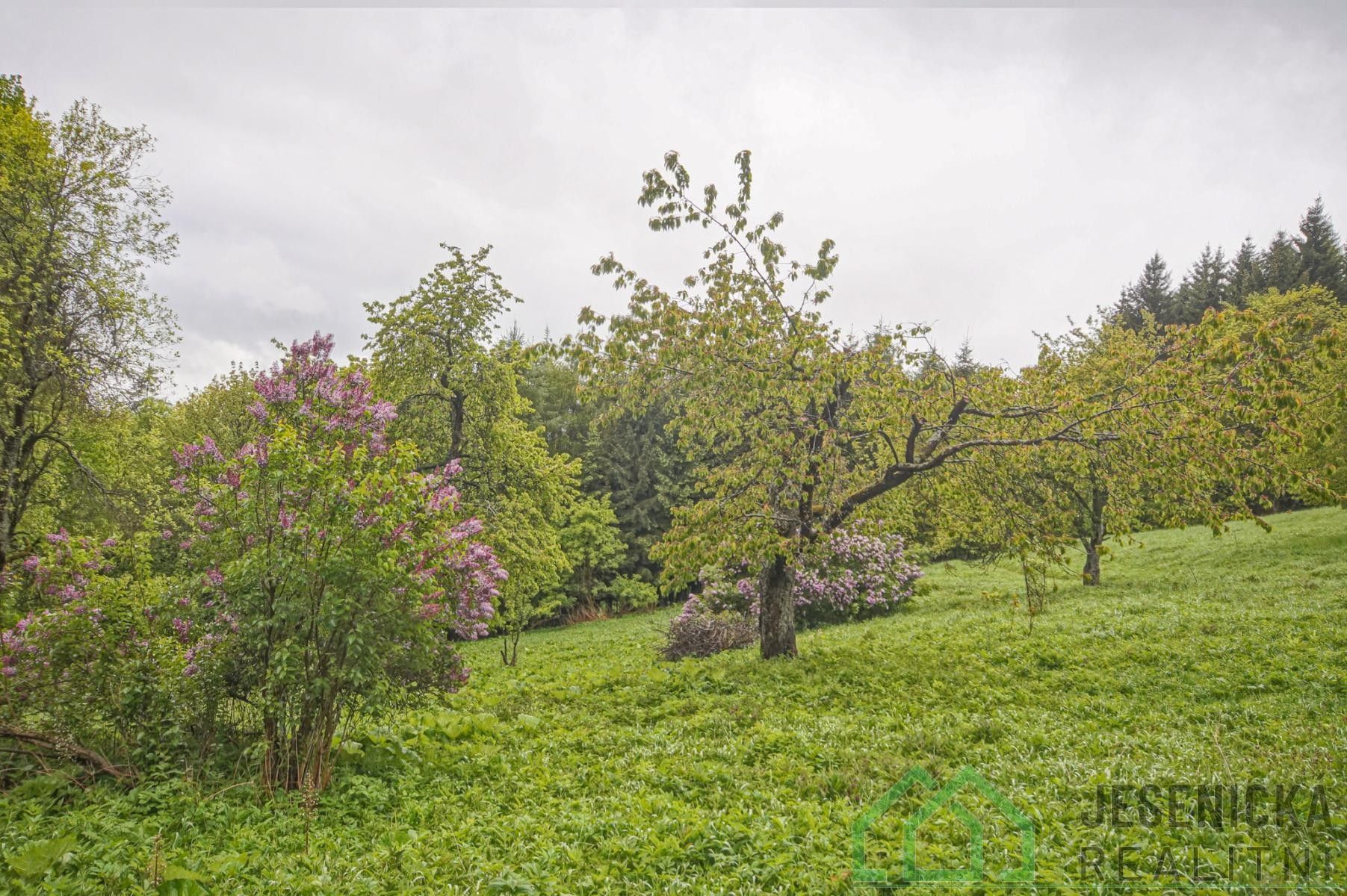 Louka · 2 772 m² · Branná - 3