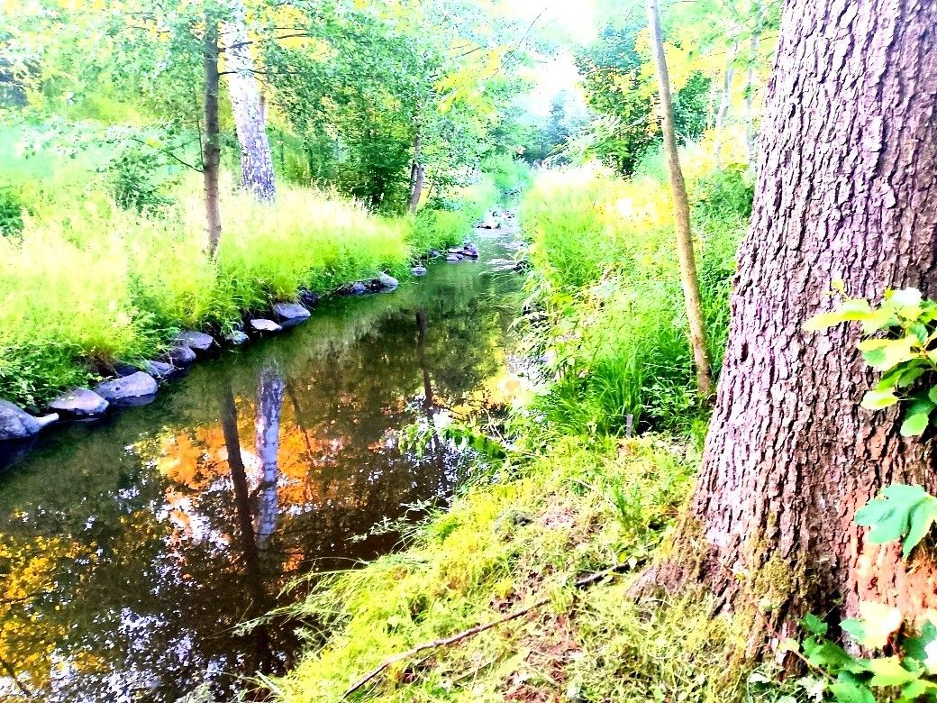 Pozemky pro bydlení, Louny, 440 01