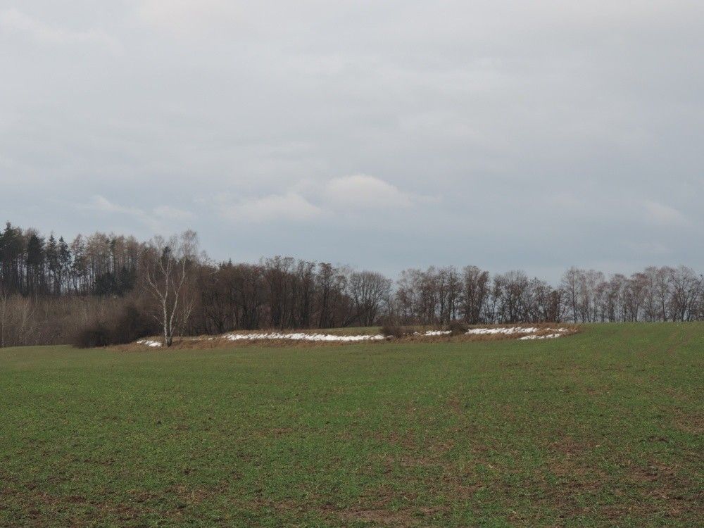 Pozemky pro bydlení, Stráž pod Ralskem, 471 27