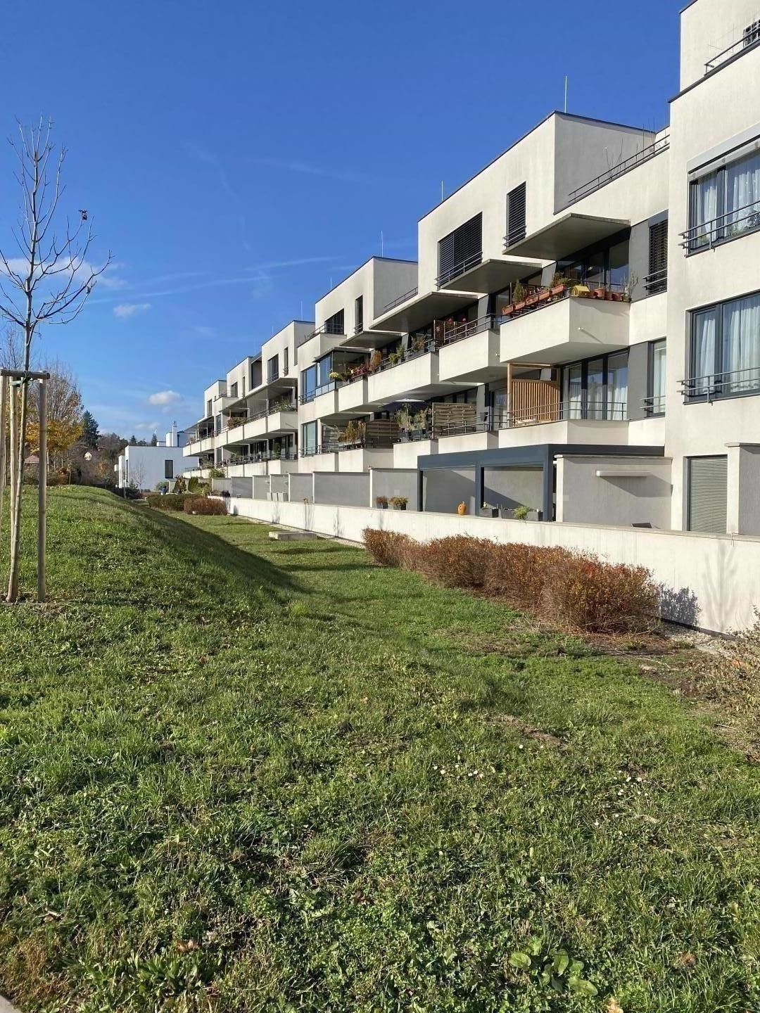 1+kk, Markůvky, Brno, 50 m²