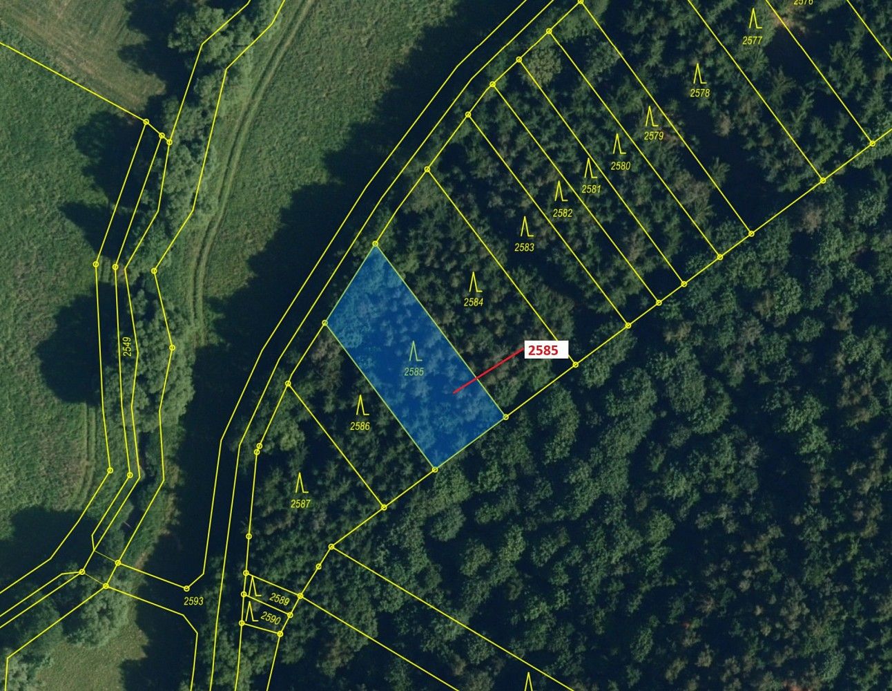 Lesy, Chotěbudice, okres Třebíč, Kraj Vysočina - 2