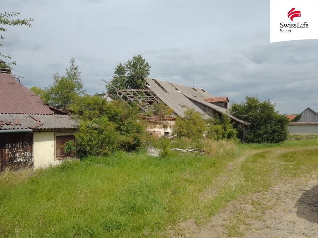 Prodej ostatní - Slavonice, 378 81 - 5