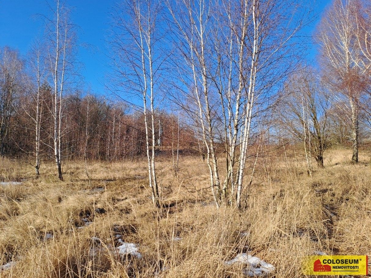 Komerční pozemek · Šafov - 3