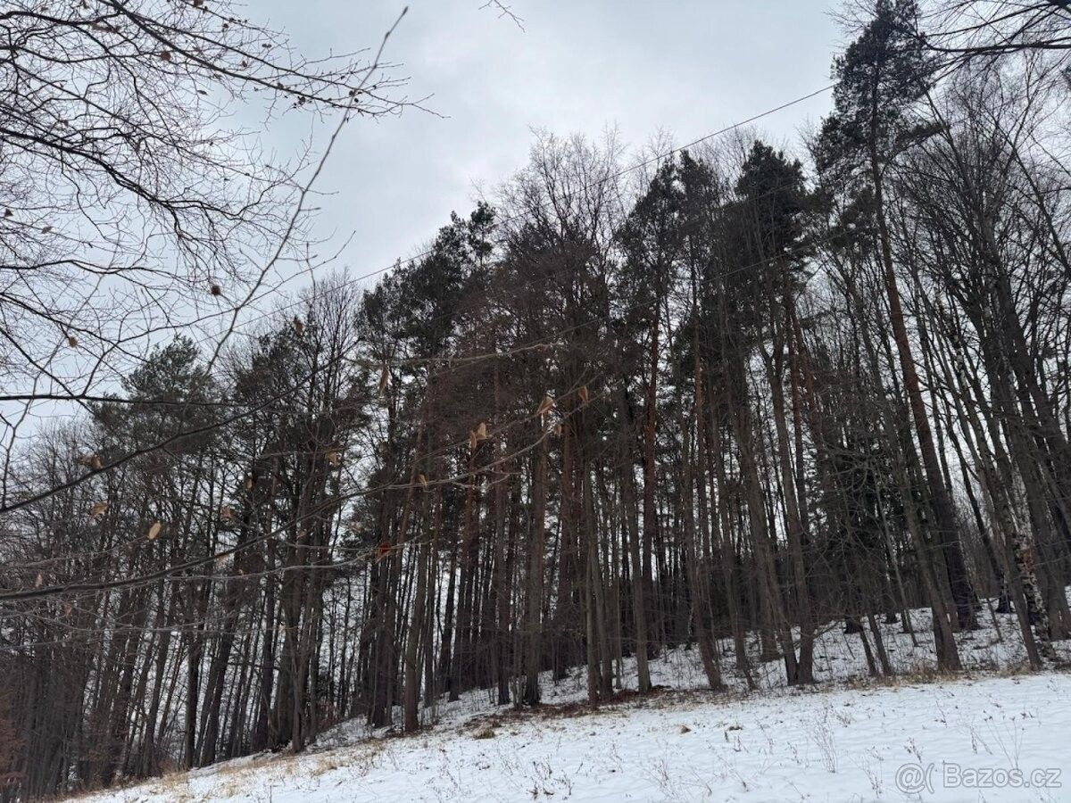Pozemek pro bydlení · Valašská Bystřice, 756 27 - 4