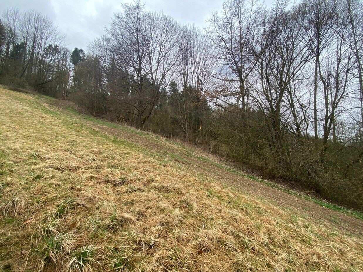 Zemědělský pozemek · 7 826 m² · Semily - 2