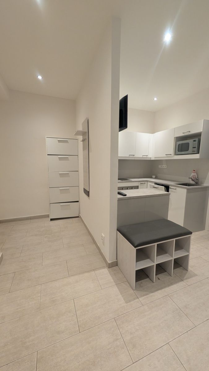 Pronájem byt 2+1 - Jaurisova, Praha - Nusle, 59 m² - 5