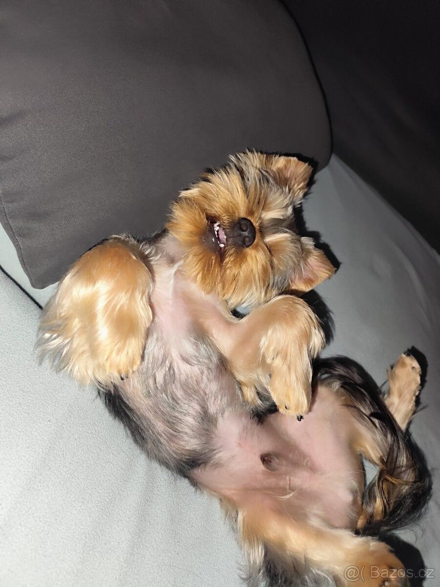 Ostatní, Mladá Boleslav, 293 01