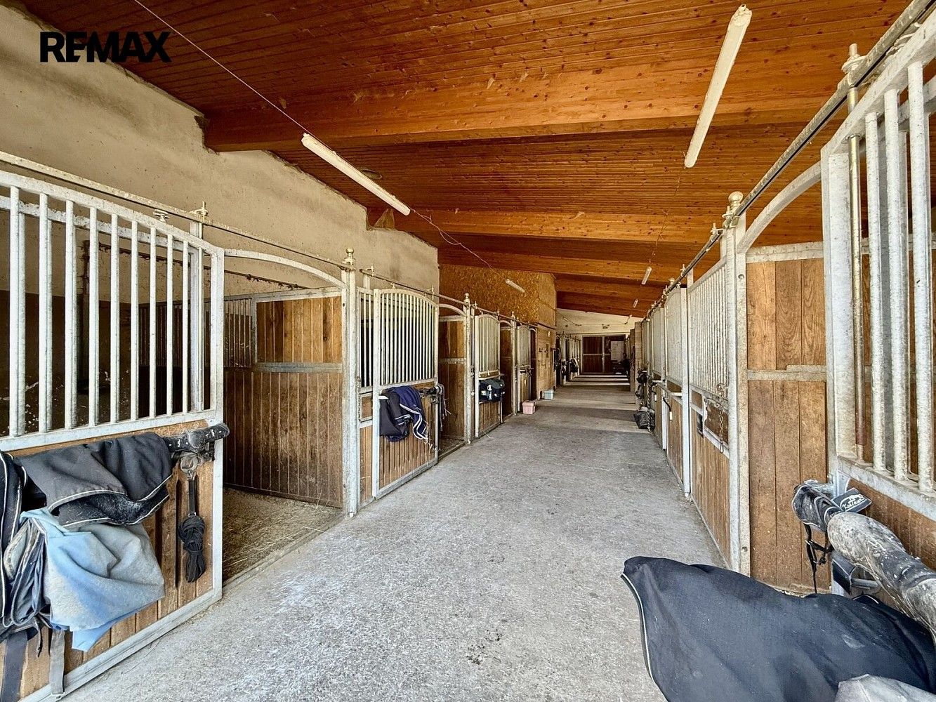 Zemědělský objekt · 164 000 m² · Spálené Poříčí, okres Plzeň-jih, Plzeňský kraj - 3