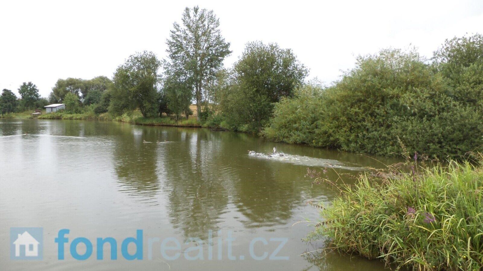 Prodej pozemek - Kocelovice, 5 241 m² - 5