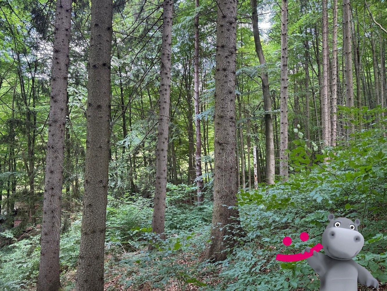Lesy, Zlín - Klečůvka, Zlínský kraj
