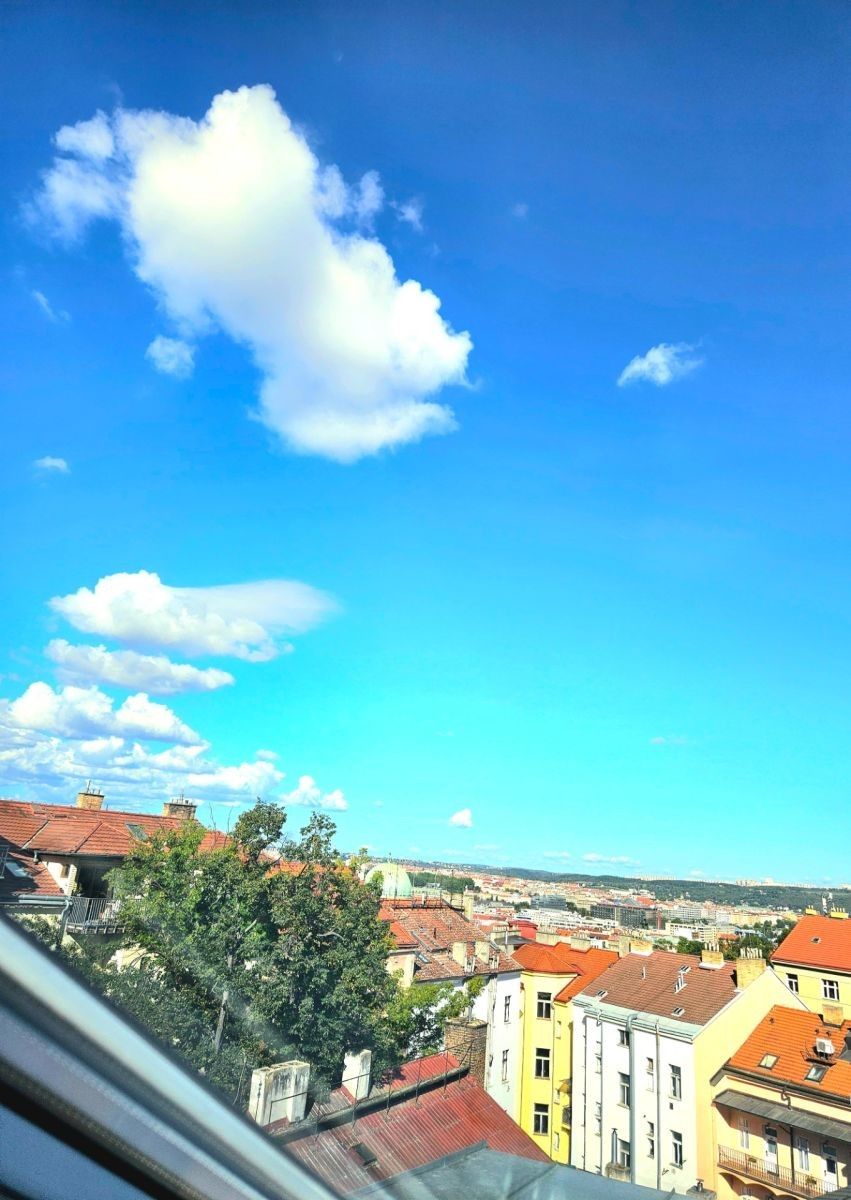 2+1, Vlkova, Praha - Žižkov, 59 m² - 1