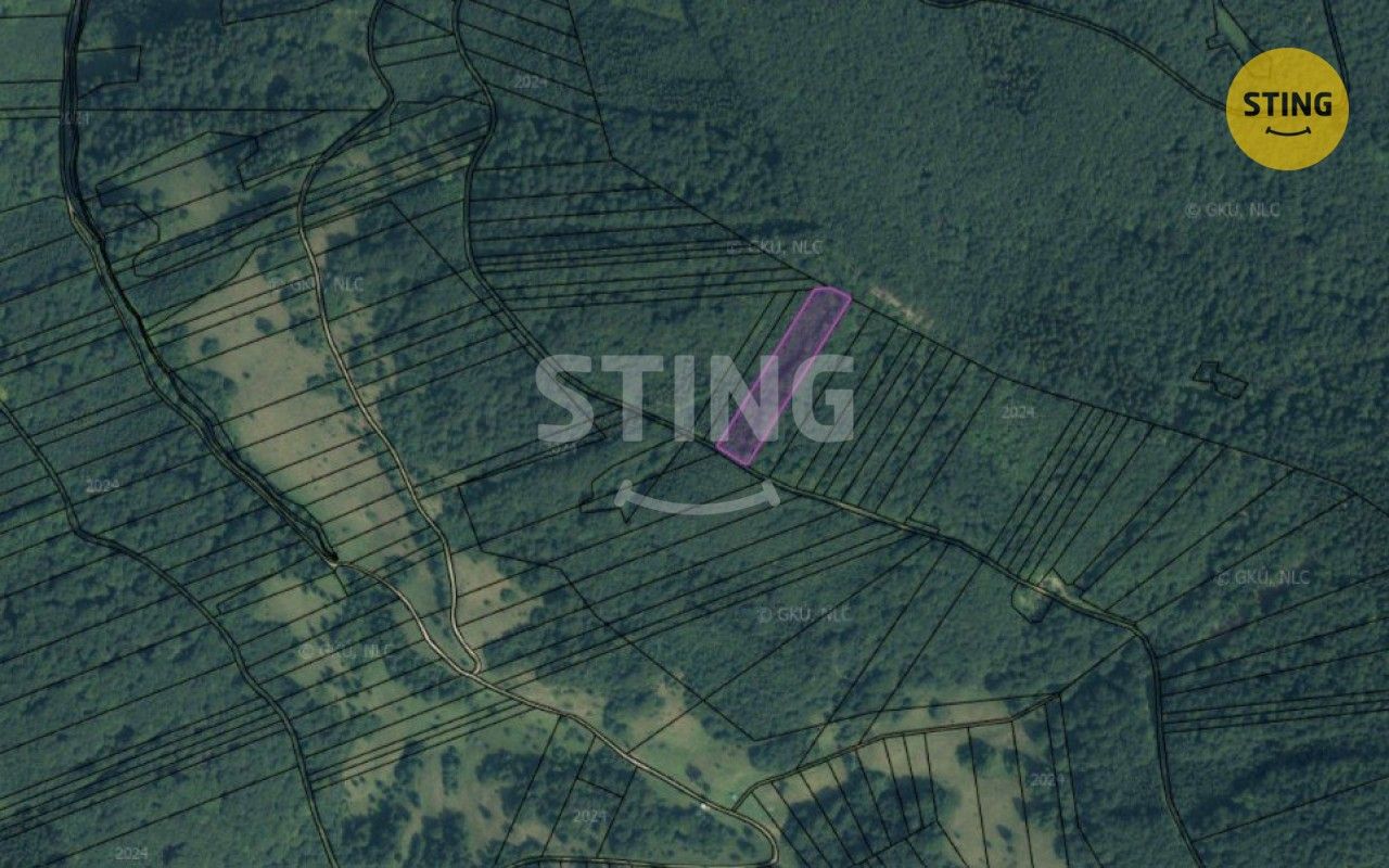 Les · 19 597 m² · Velké Karlovice - 3