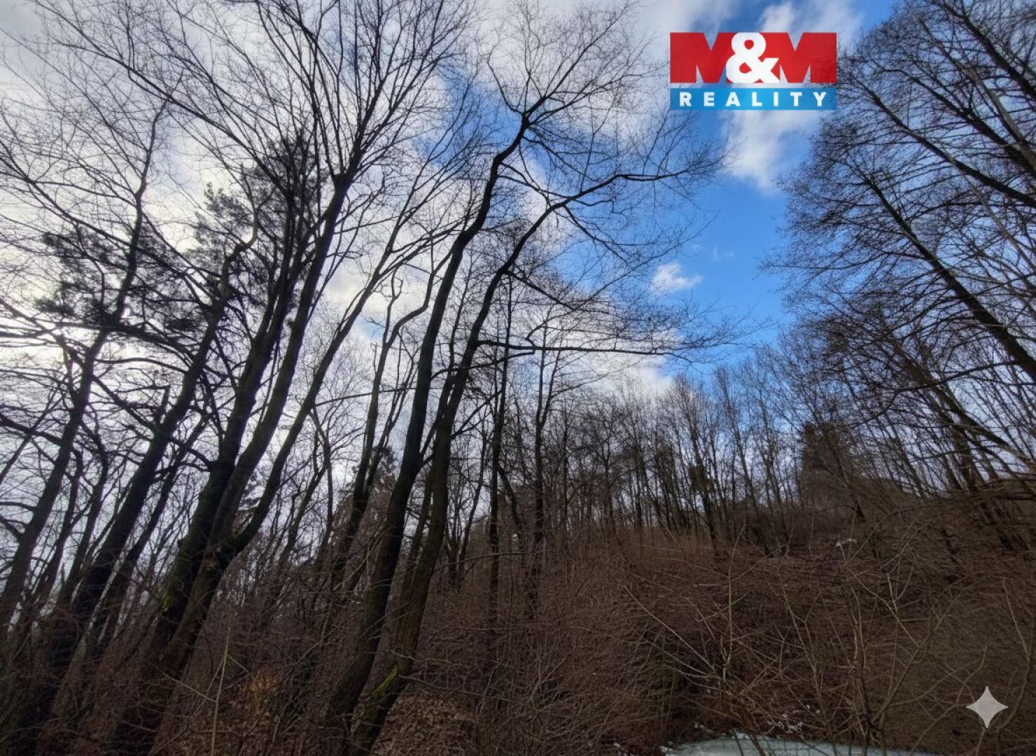 Lesy, Straník, Nový Jičín