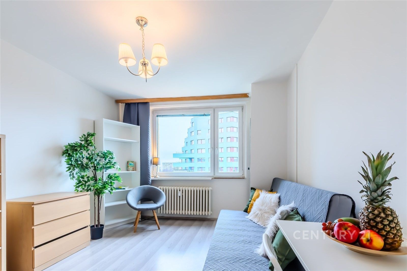 1+kk, Střížkov, Praha, 25 m²