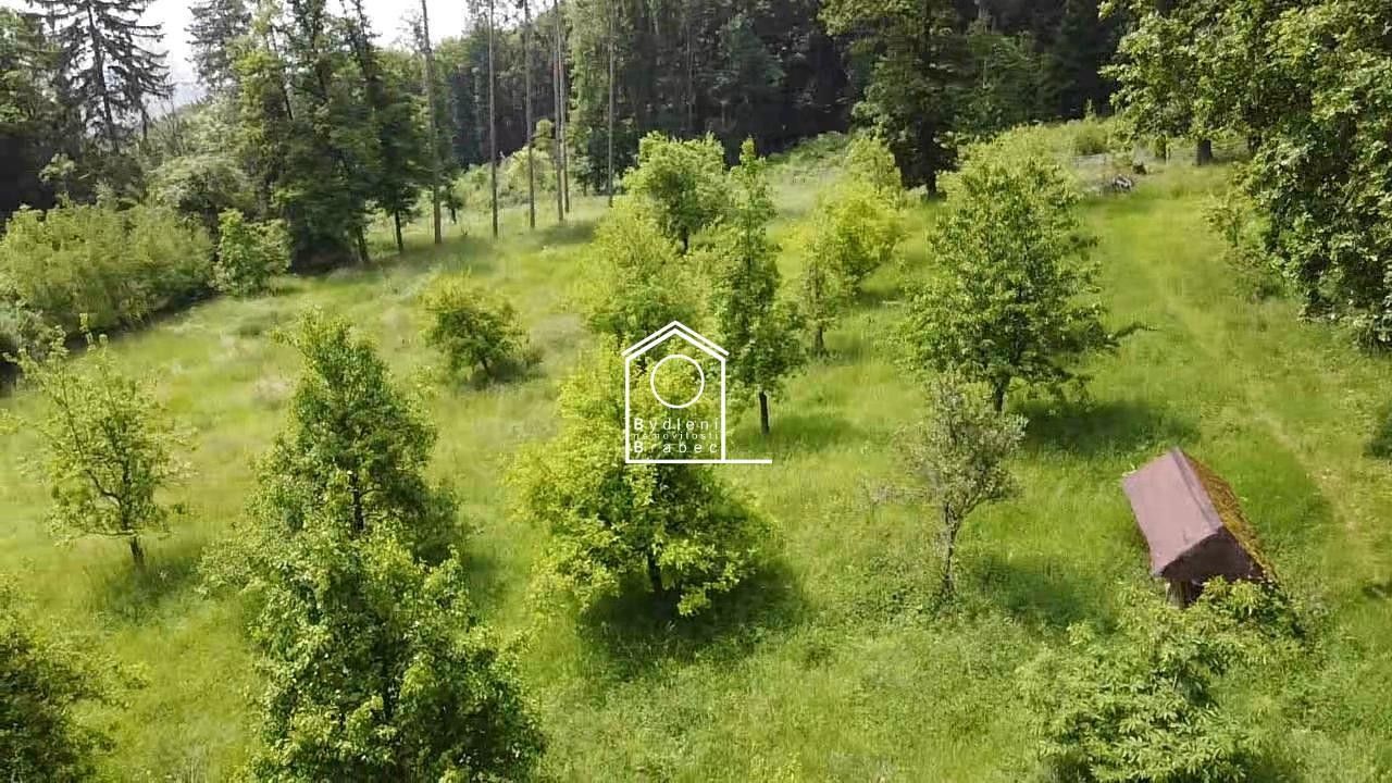 Prodej zahrada - Pohořany, Žitenice