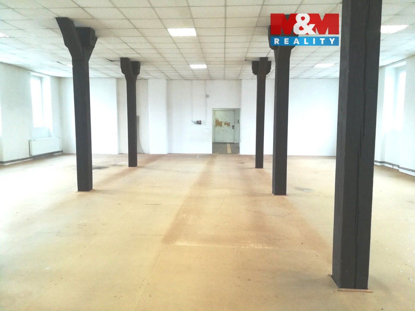 Ostatní, Průmyslová, Strančice, 270 m²