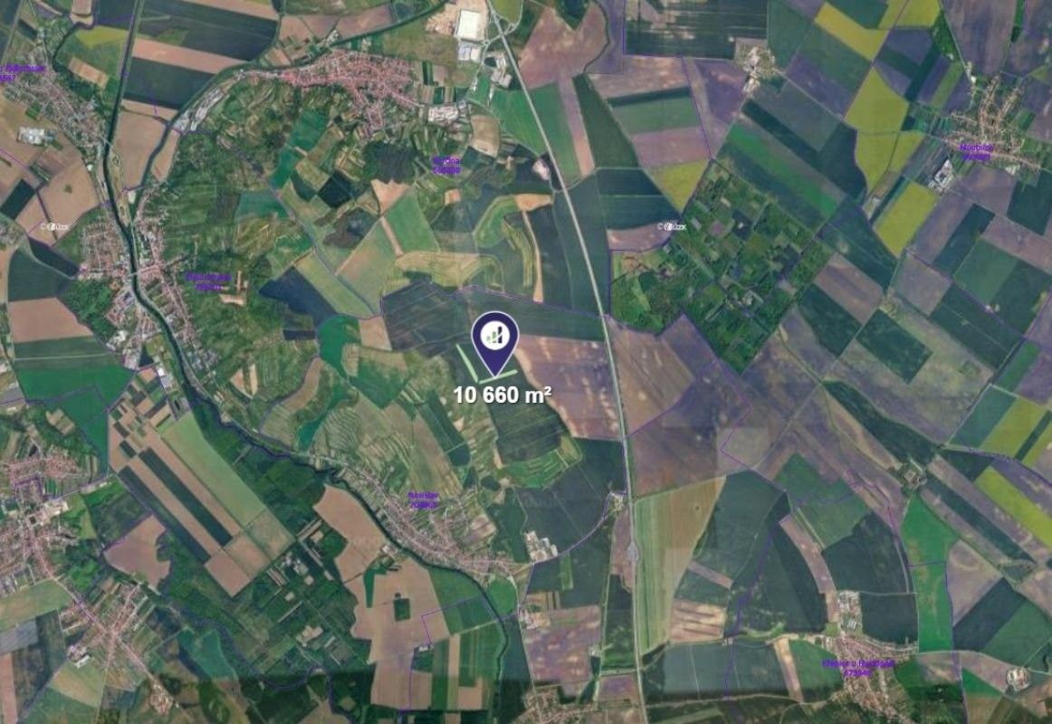 Zemědělské pozemky, Nosislav, 10 660 m² - 2