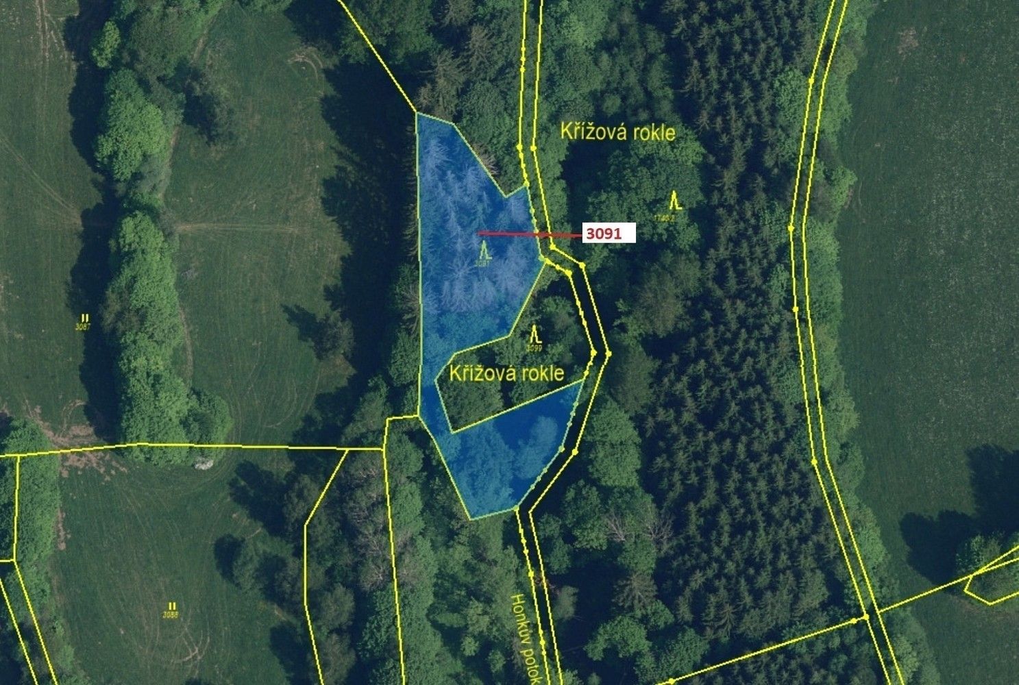 Prodej les - Příkrý, okres Semily, Liberecký kraj - 2
