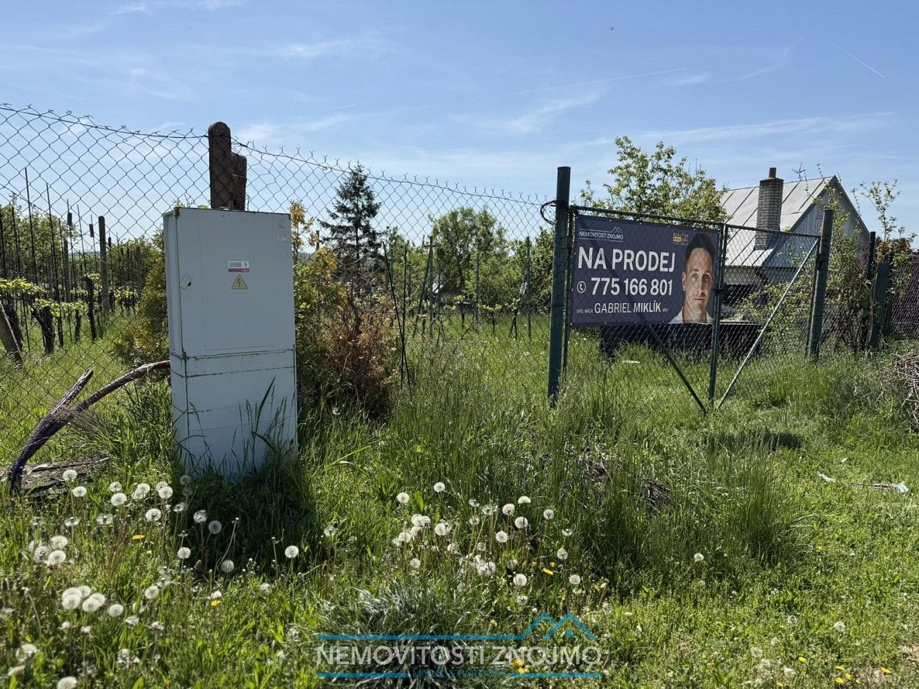 Prodej zahrada - Dobšice, okres Znojmo, Jihomoravský kraj - 5