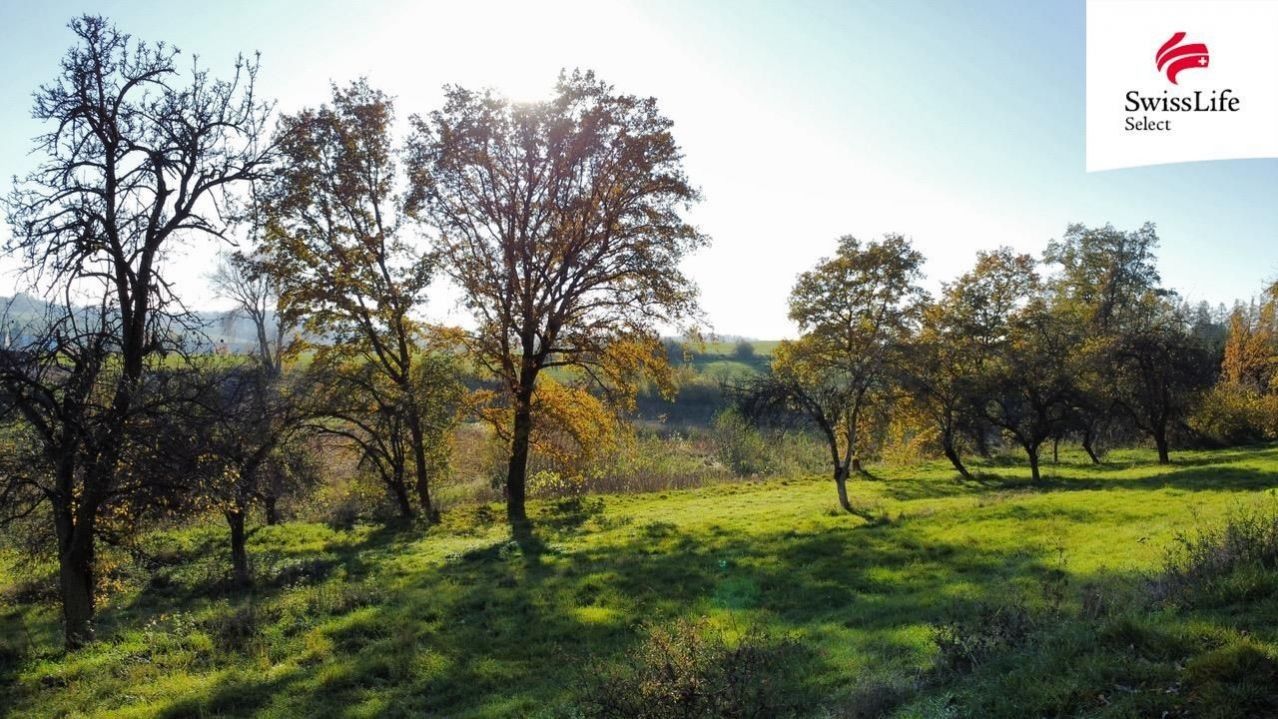 Prodej pozemek pro bydlení - Struhařov - 5