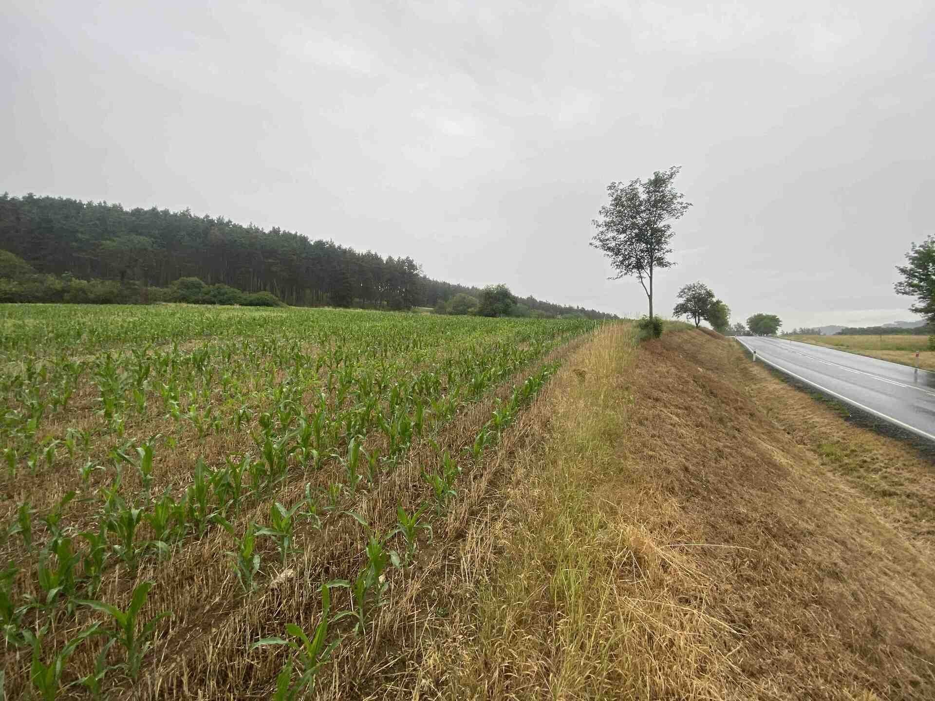 Prodej zemědělský pozemek - Rabí Bojanovice, 22 978 m² - 5