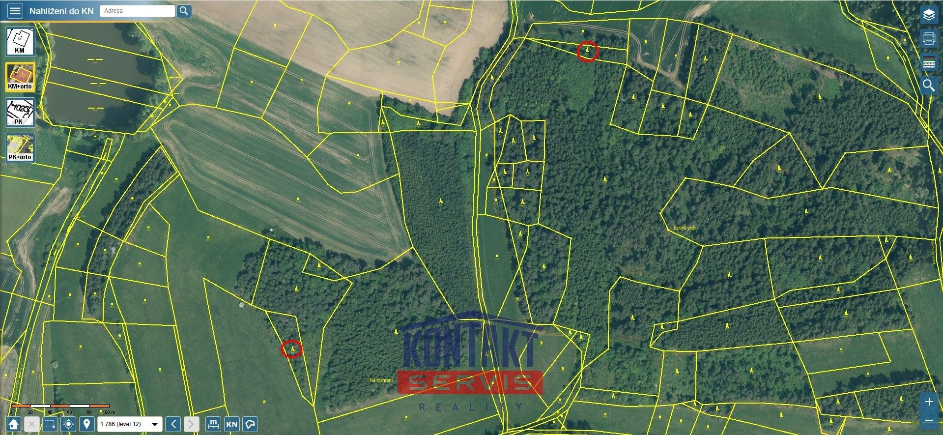 Prodej les - Čepřovice