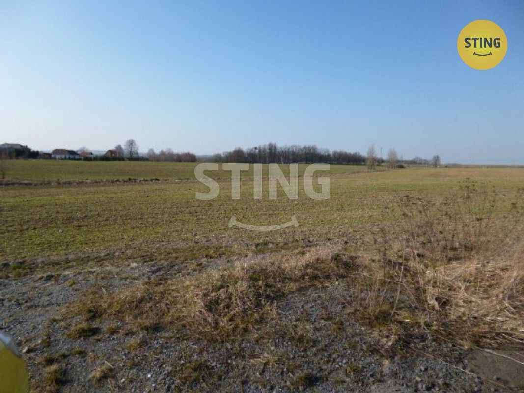 Komerční pozemek · 50 000 m² · Bravantice - 3