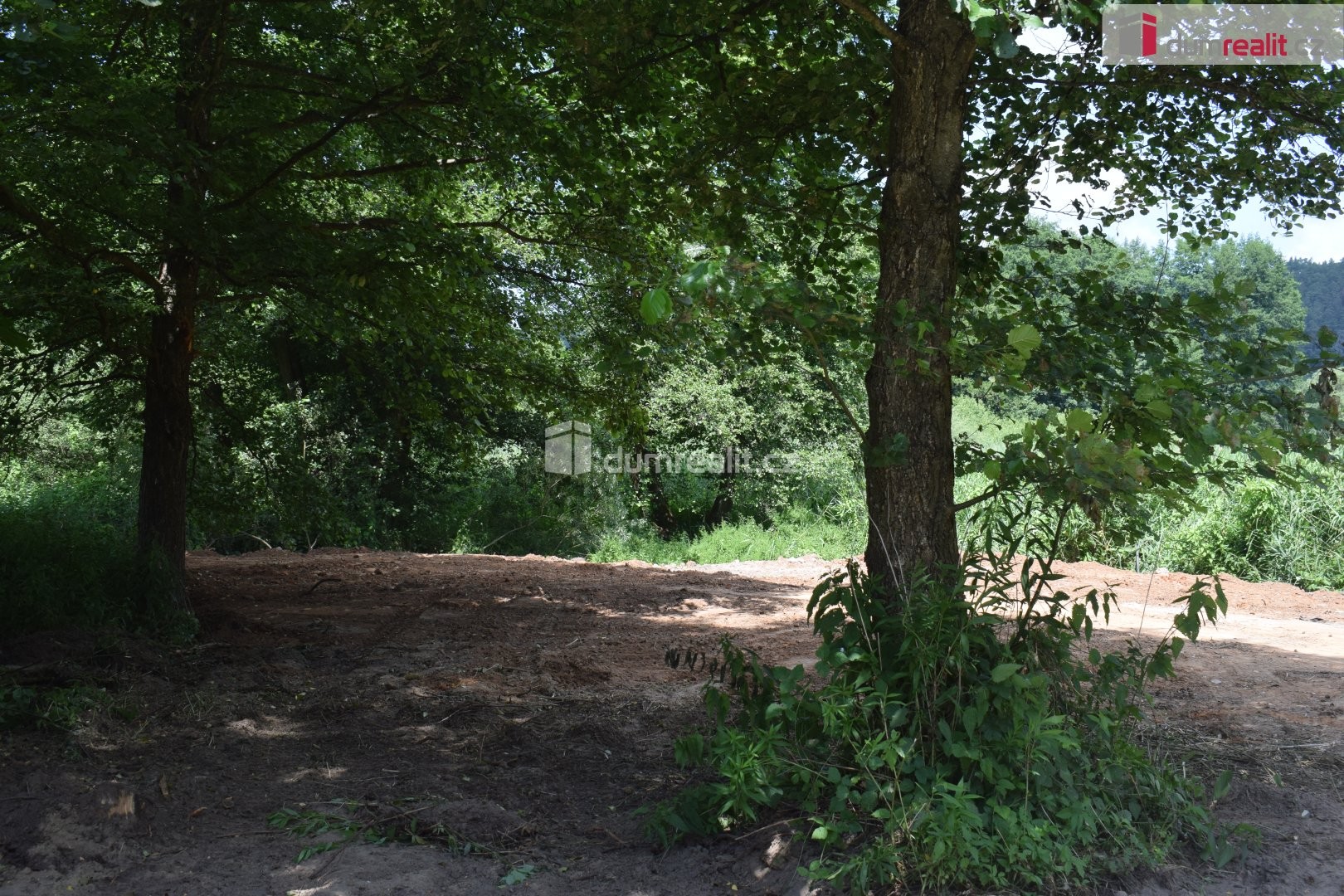 Zahrada · 1 560 m² · Borovice, Mukařov - 4