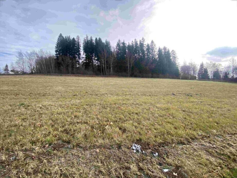 Zemědělské pozemky, Černá v Pošumaví Bližná, 3 624 m² - 1