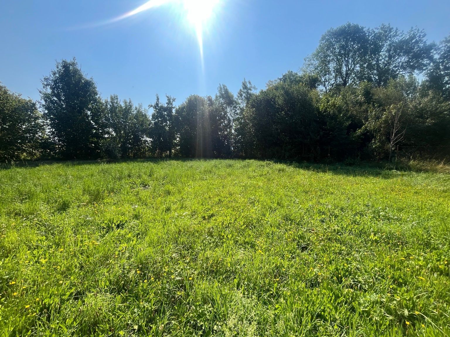 Pozemek pro bydlení, 1 035 m²