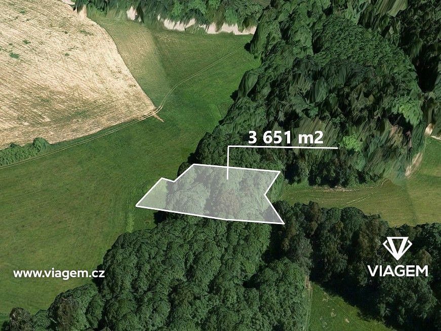 Les · Roprachtice, okres Semily, Liberecký kraj - 1