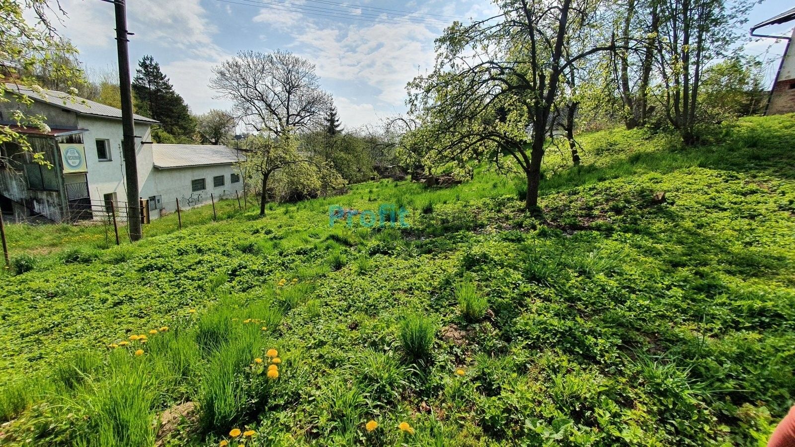 Prodej zahrada - Kosov, 1 714 m² - 5
