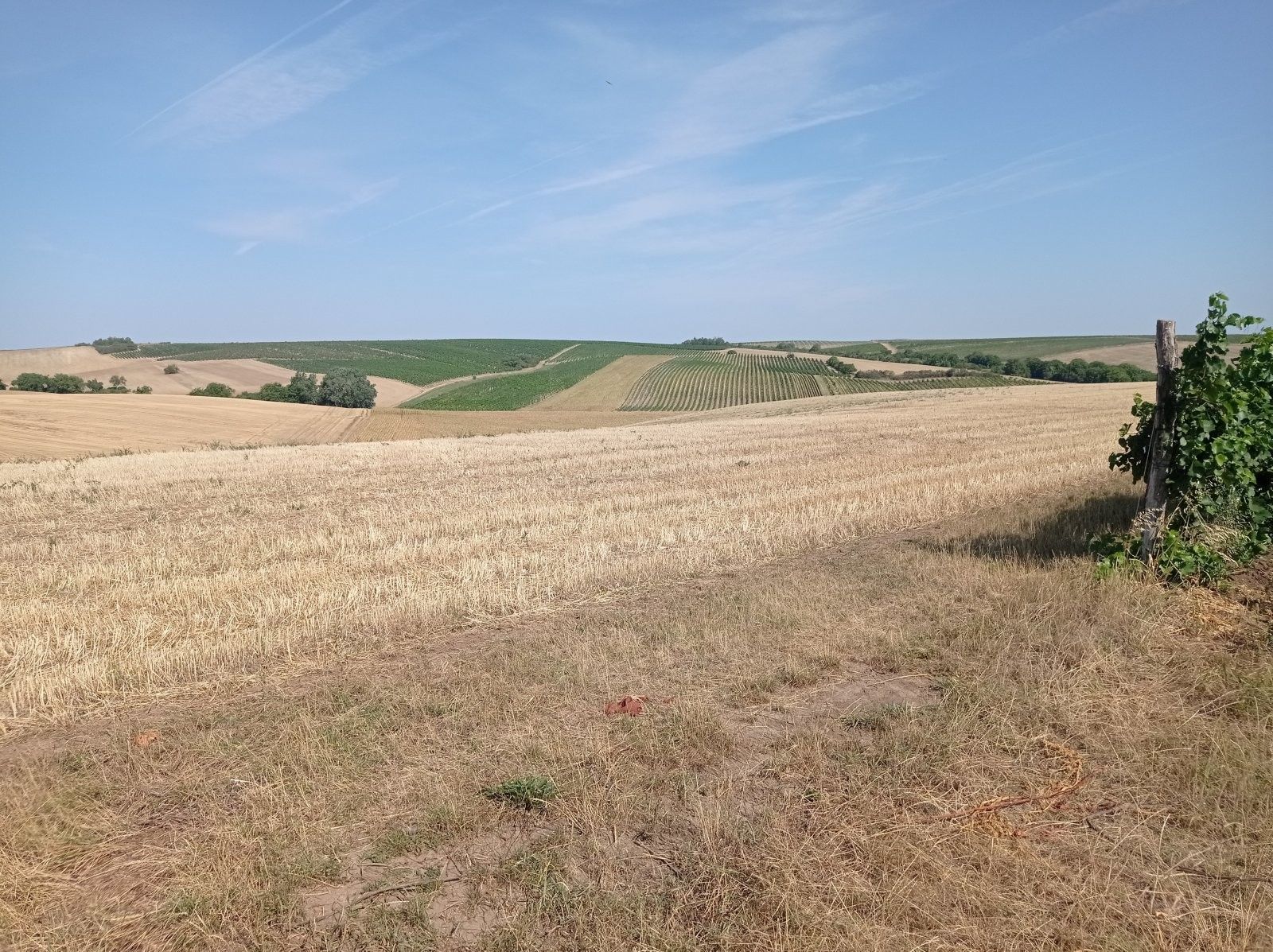 Zemědělské pozemky, Úvaly, Valtice, 14 102 m²